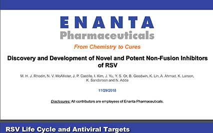 image for Discovery and Development of Novel and Potent Non-Fusion Inhibitors of RSV