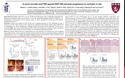 image for A Novel Non-Bile Acid FXR Agonist EDP-305 Prevents Progression to Cirrhosis in Rats