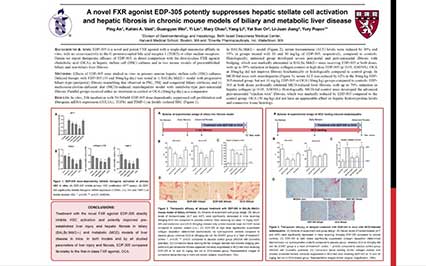 image for A Novel FXR Agonist EDP-305 Potently Suppresses Hepatic Stellate Cell Activation and Hepatic Fibrosis in Chronic Mouse Models of Biliary and Betabolic Liver Disease