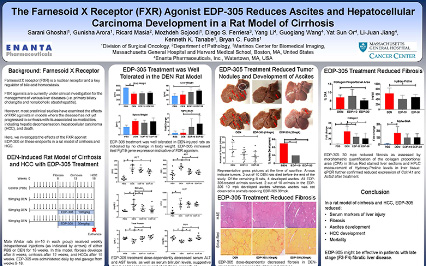image for The Farnesoid X Receptor (FXR) Agonist EDP-305 Reduces Ascites and Hepatocellular Carcinoma Development in a Rat Model of Cirrhosis