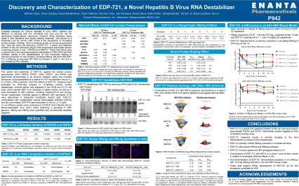 image for Discovery and Characterization of EDP-721, a Novel Hepatitis B Virus RNA Destabilizer