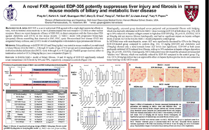 image for A Novel FXR Agonist EDP-305 Potently Suppresses Liver Injury and Fibrosis in Mouse Models of Biliary and Metabolic Liver Disease