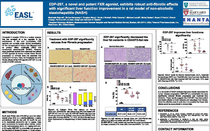 image for EDP-297, A Novel and Potent FXR Agonist, Exhibits Robust Anti-Fibrotic Effects with Significant Liver Function Improvement in a Rat Model of Non-Alcoholic Steatohepatitis