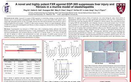 image for A Novel and Highly Potent FXR Agonist EDP-305 Suppresses Liver Injury and Fibrosis in a Murine Model of Steatohepatitis