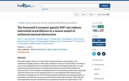 image for The Farnesoid X Receptor Agonist EDP-305 Reduces Interstitial Renal Fibrosis in a Mouse Model of Unilateral Ureteral Obstruction