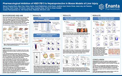 image for Pharmacological Inhibition of HSD17B13 Is Hepatoprotective In Mouse Models of Liver Injury