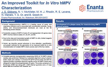 image for An Improved Toolkit for In Vitro hMPV Characterization