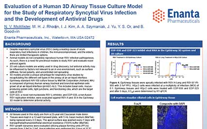 image for Evaluation of a Human 3D Airway Tissue Culture Model for the Study of Respiratory Syncytial Virus Infection and the Development of Antiviral Drugs