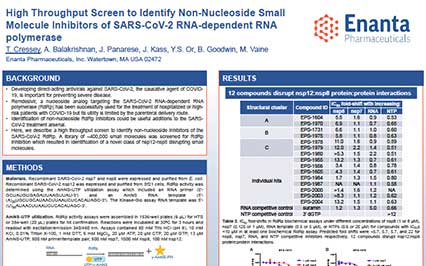 image for High Throughput Screen to Identify Non-Nucleoside Small Molecule Inhibitors of SARS-CoV-2 RNA-Dependent RNA Polymerase