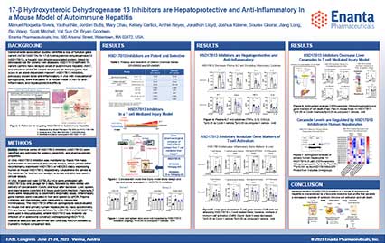 image for HSD17B13 Inhibitors are Hepatoprotective and Anti-inflammatory in a Mouse Model of Autoimmune Hepatitis