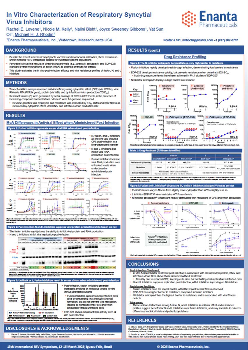 image for In Vitro Characterization of Respiratory Syncytial Virus Inhibitors
